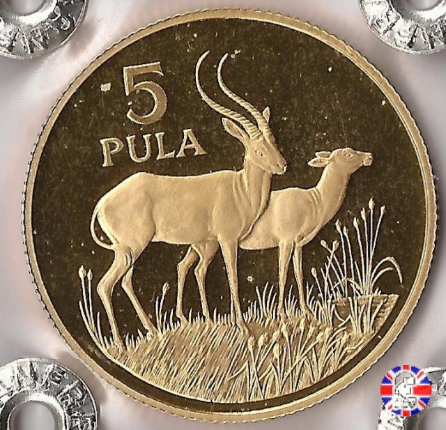 5 pula 1986