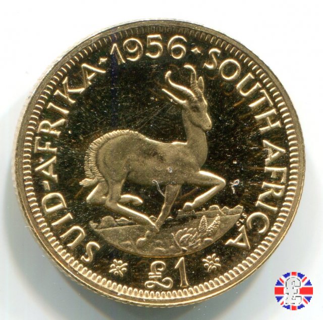 1 pound - Elizabeth II 1956 (Pretoria)