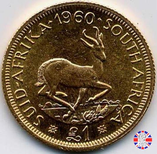 1 pound - Elizabeth II 1960 (Pretoria)