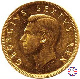 1 pound - George VI 1952 (Pretoria)