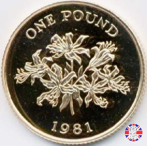 1 pound 1981